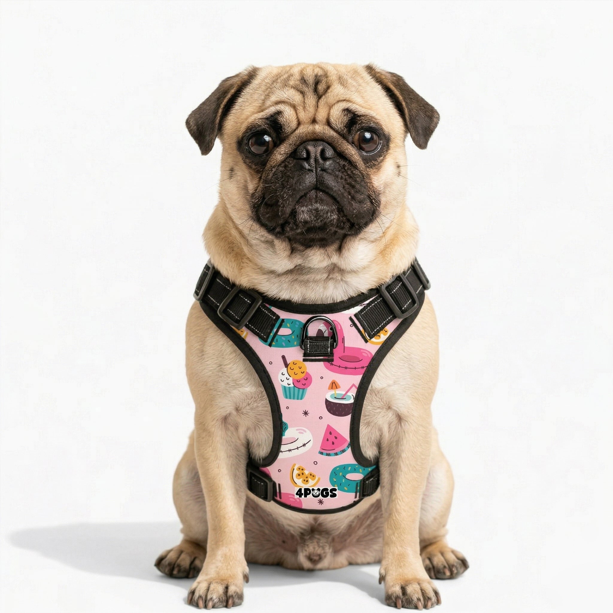 Stella - Pug Dog Harness