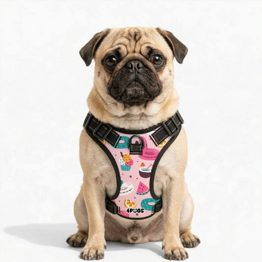 Stella - Pug Dog Harness