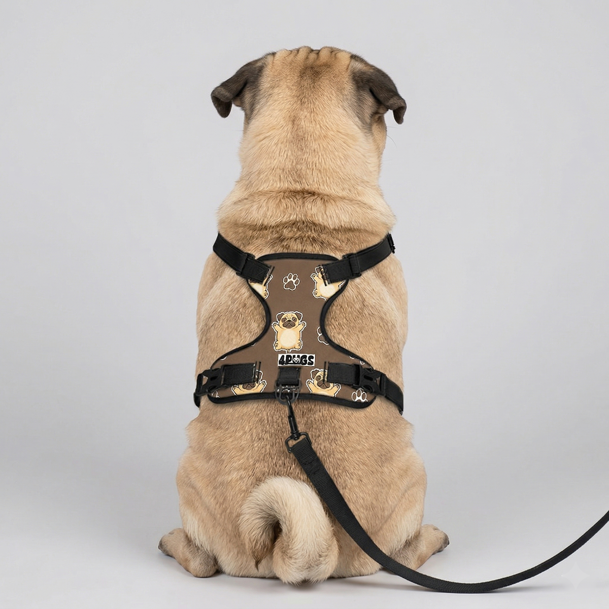 Bear - Pug Dog Harness