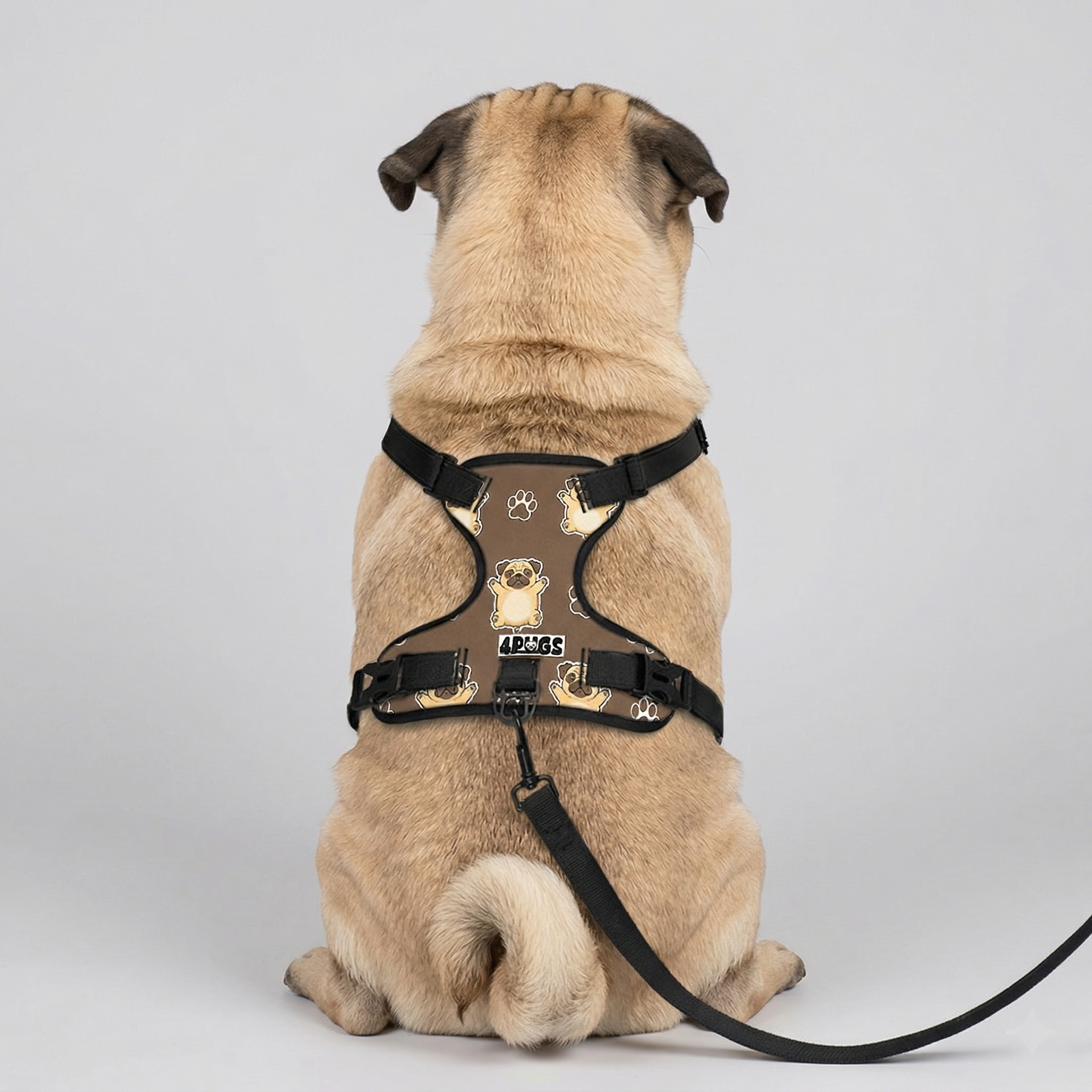 Bear - Pug Dog Harness