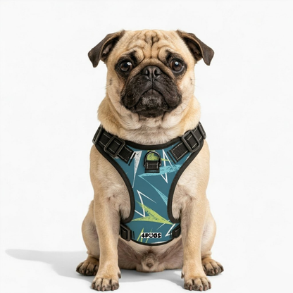 Willow -  Pug Dog Harness