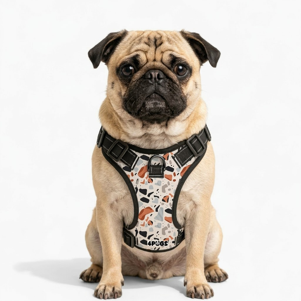 Atlas - Pug Dog Harness