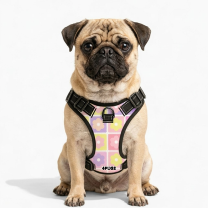 Pepper - Pug Dog Harness