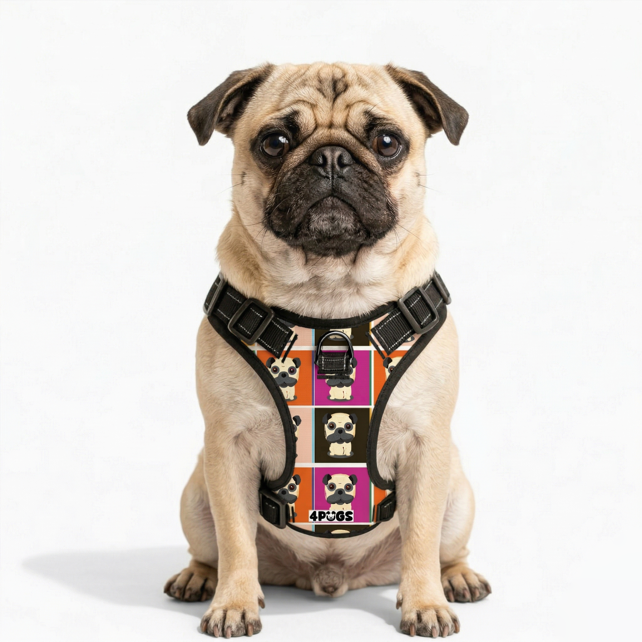 Max - Pug Dog Harness