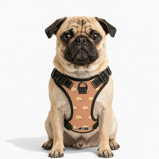 Nova - Pug Dog Harness