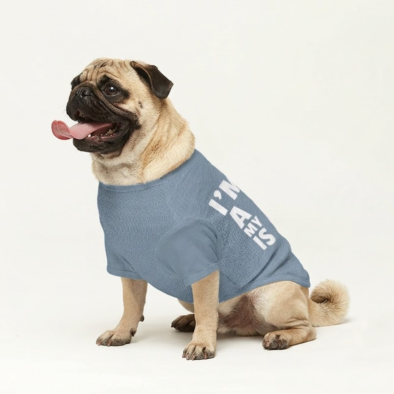 Freya - Pug Wool Sweater