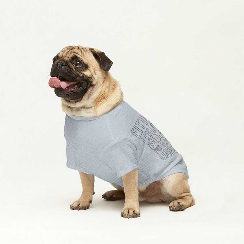 Jack - Pug Wool Sweater