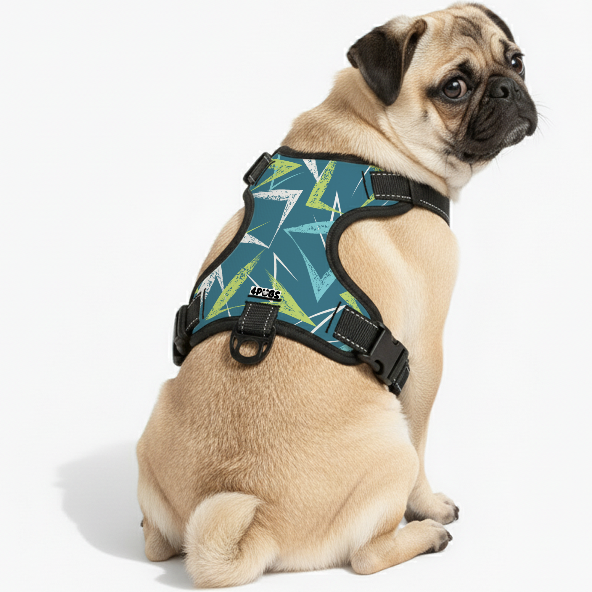 Willow -  Pug Dog Harness