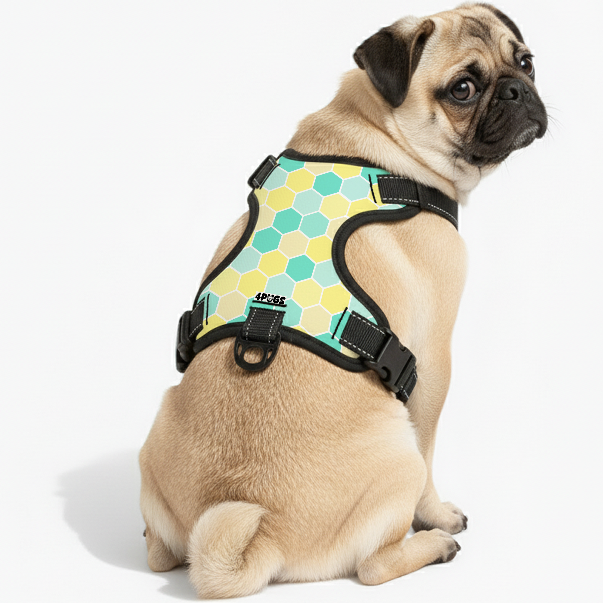 Freya - Pug Dog Harness