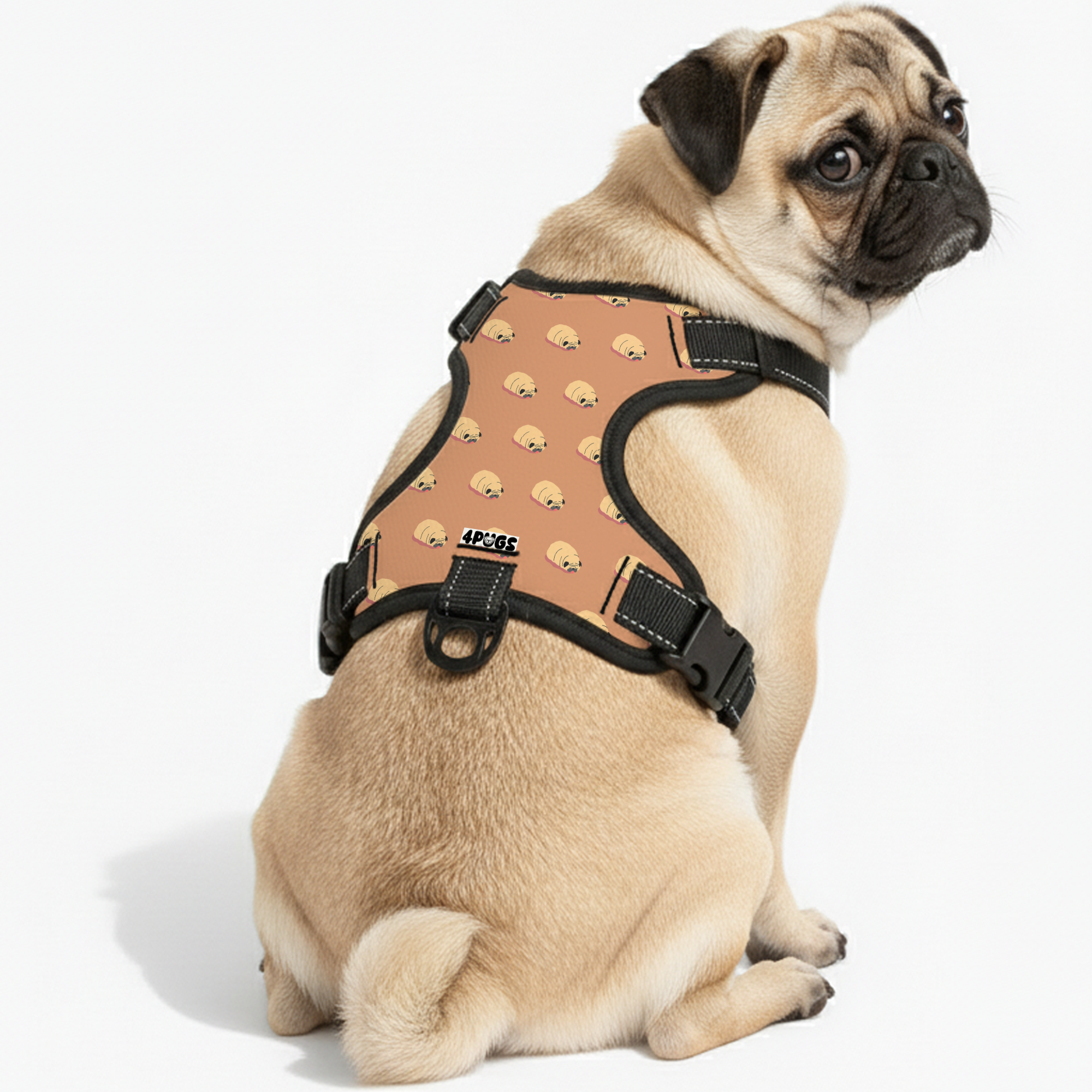 Nova - Pug Dog Harness