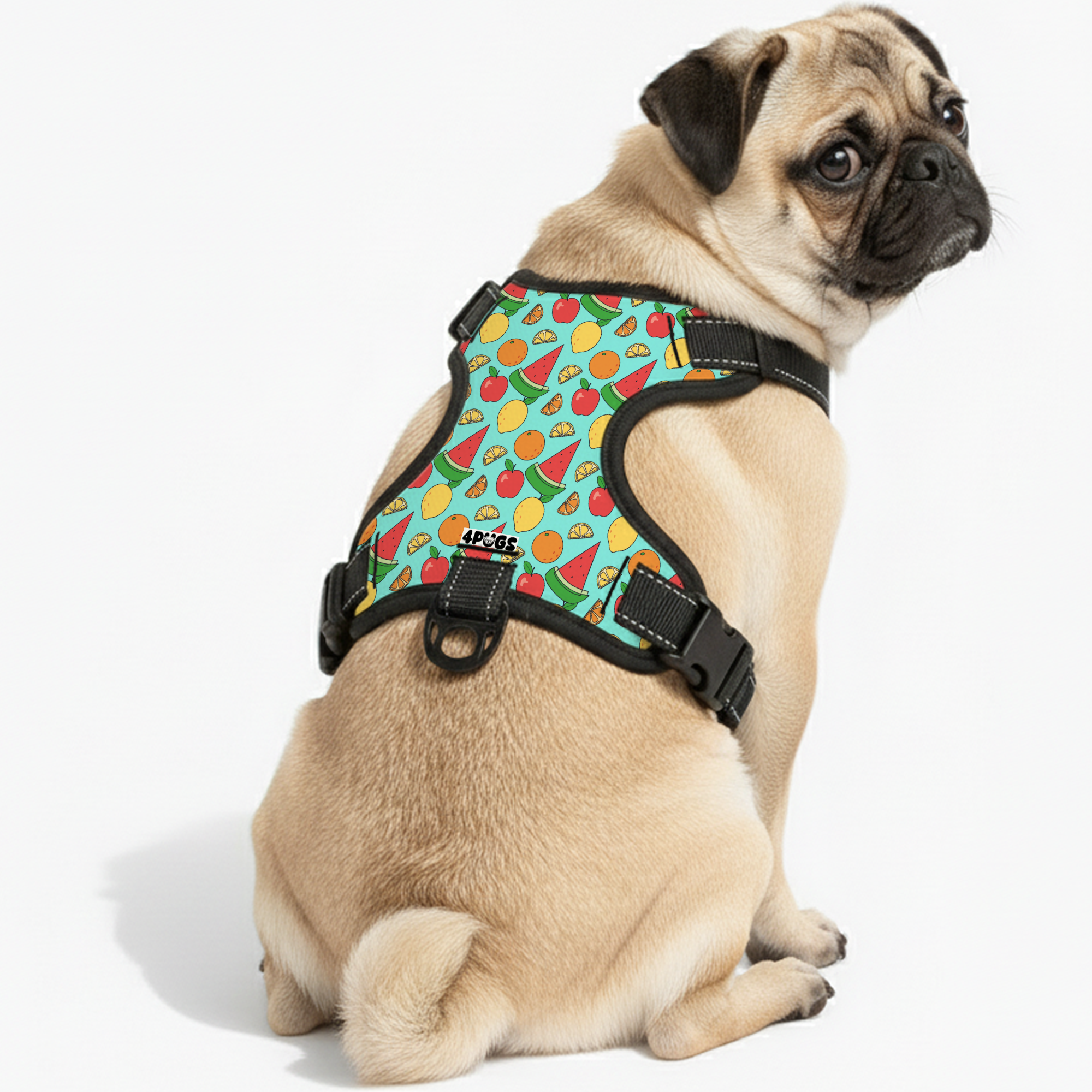 Toby - Pug Dog Harness
