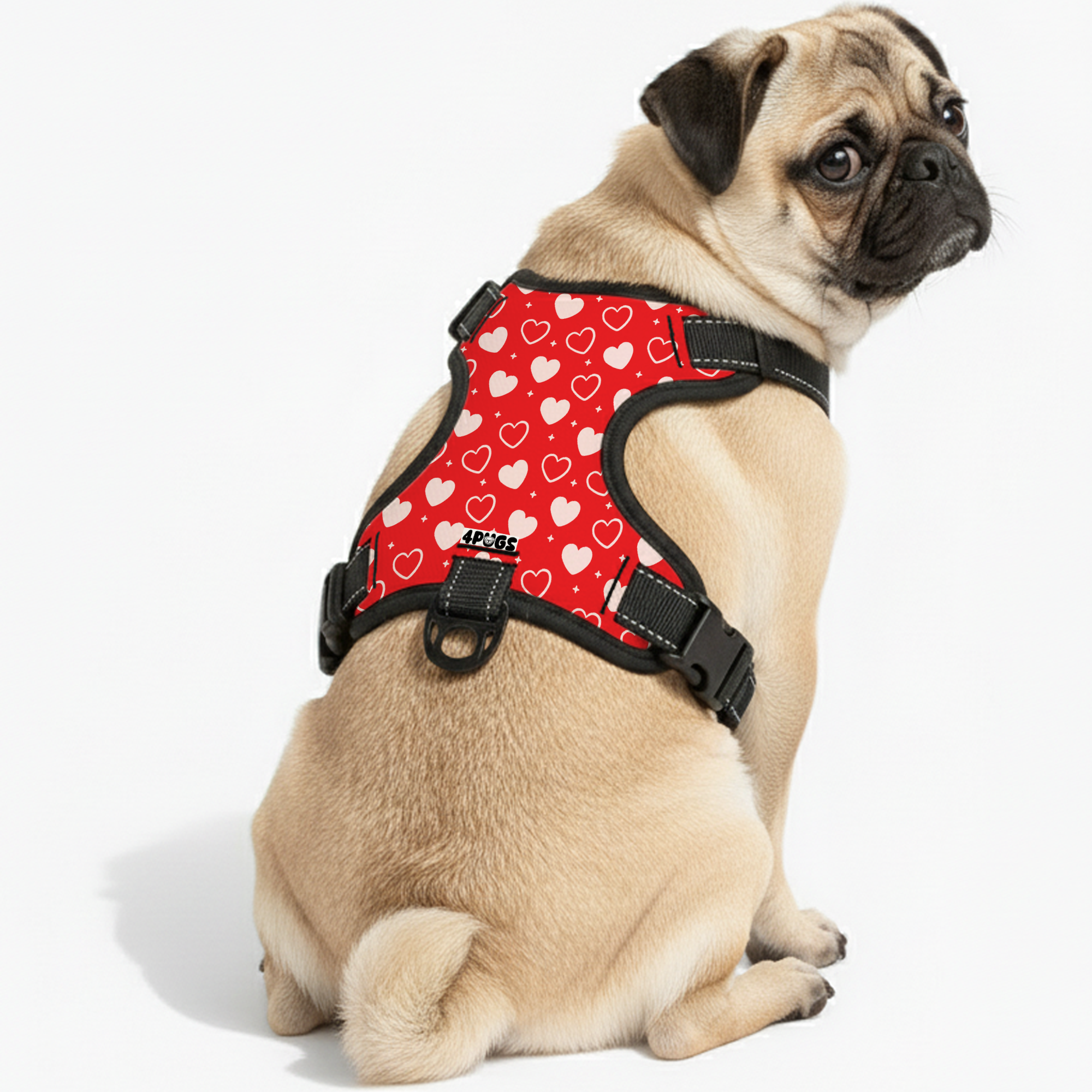 Nala - Pug Dog Harness