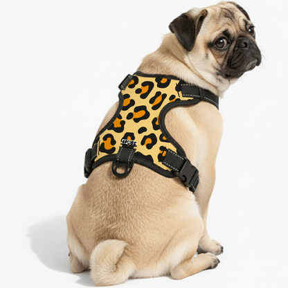 Apollo - Pug Dog Harness