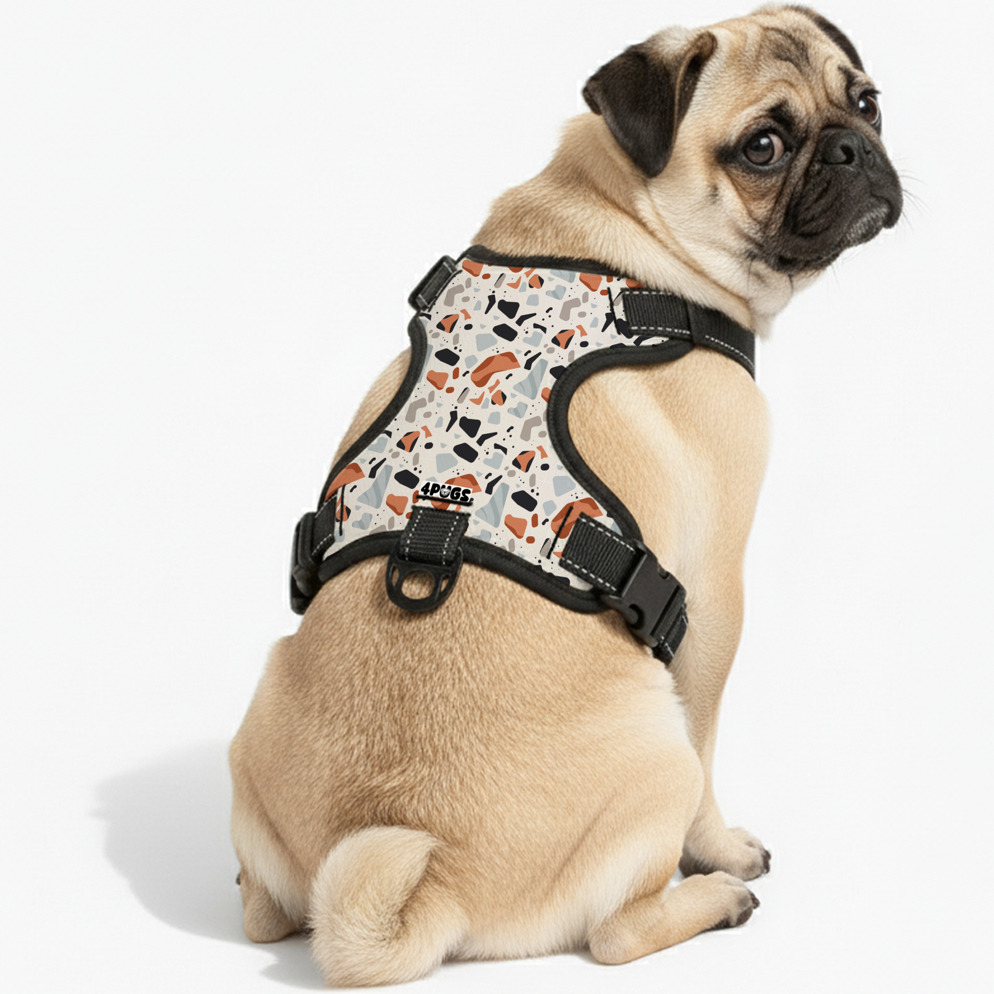 Atlas - Pug Dog Harness