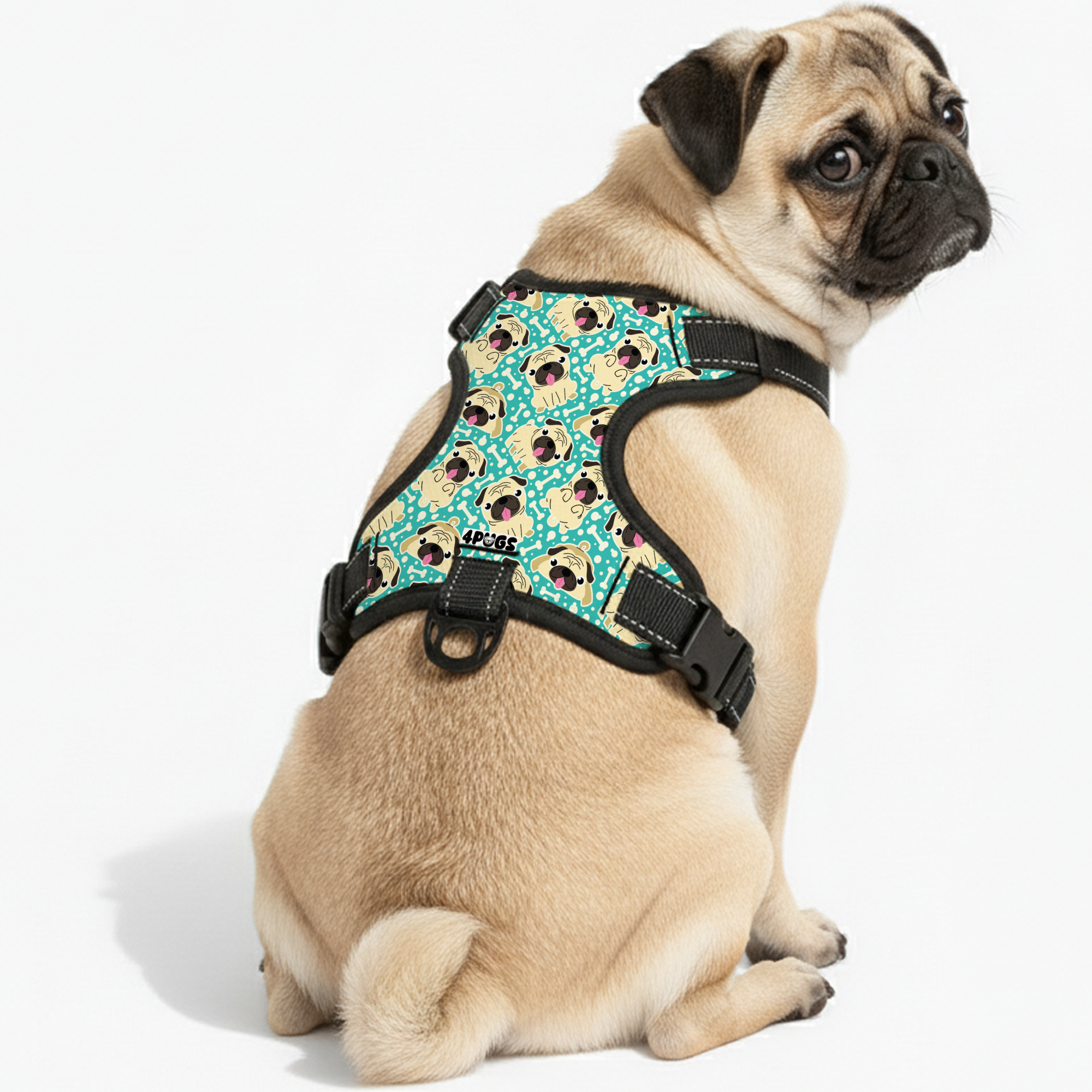 Bronx - Pug Dog Harness