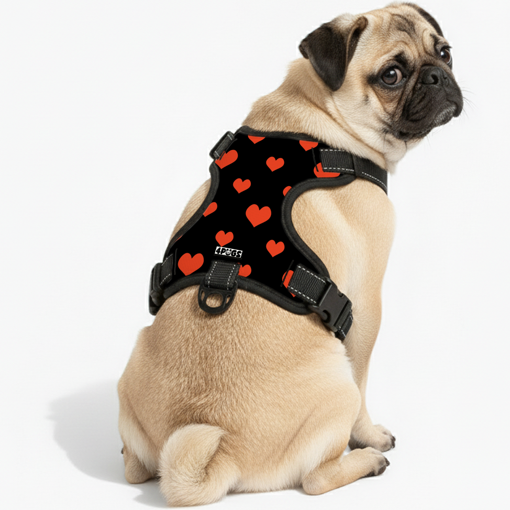 Stella - Pug Dog Harness