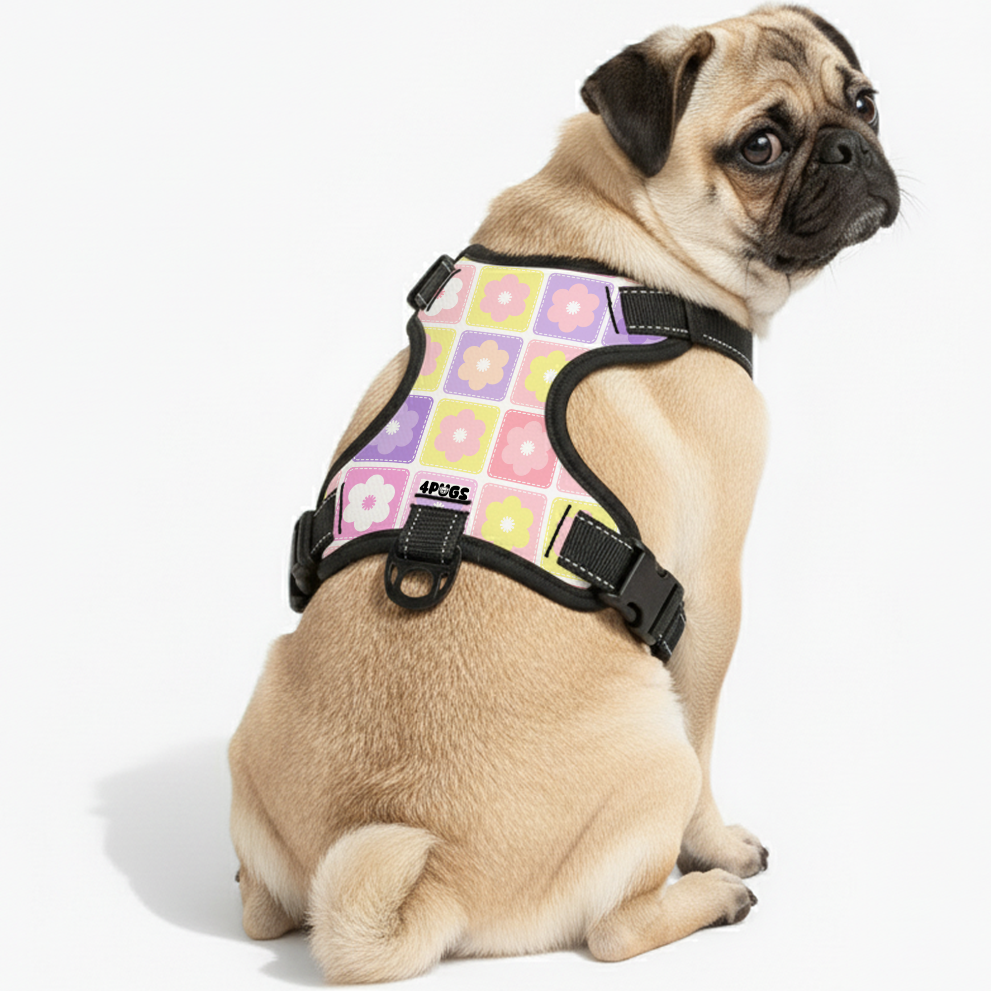 Pepper - Pug Dog Harness