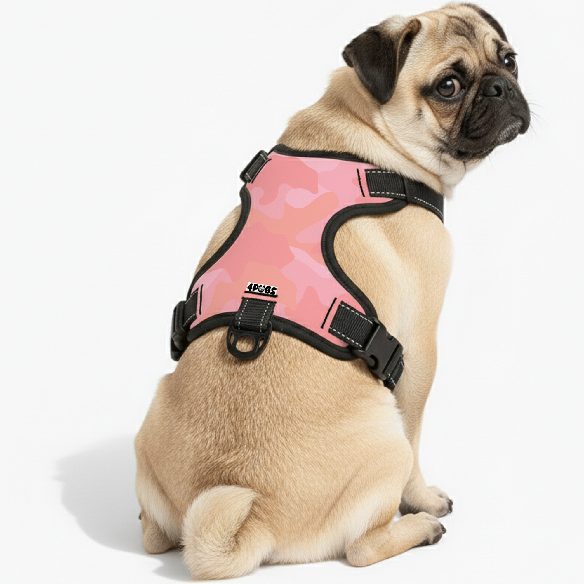 Ace - Pug Dog Harness