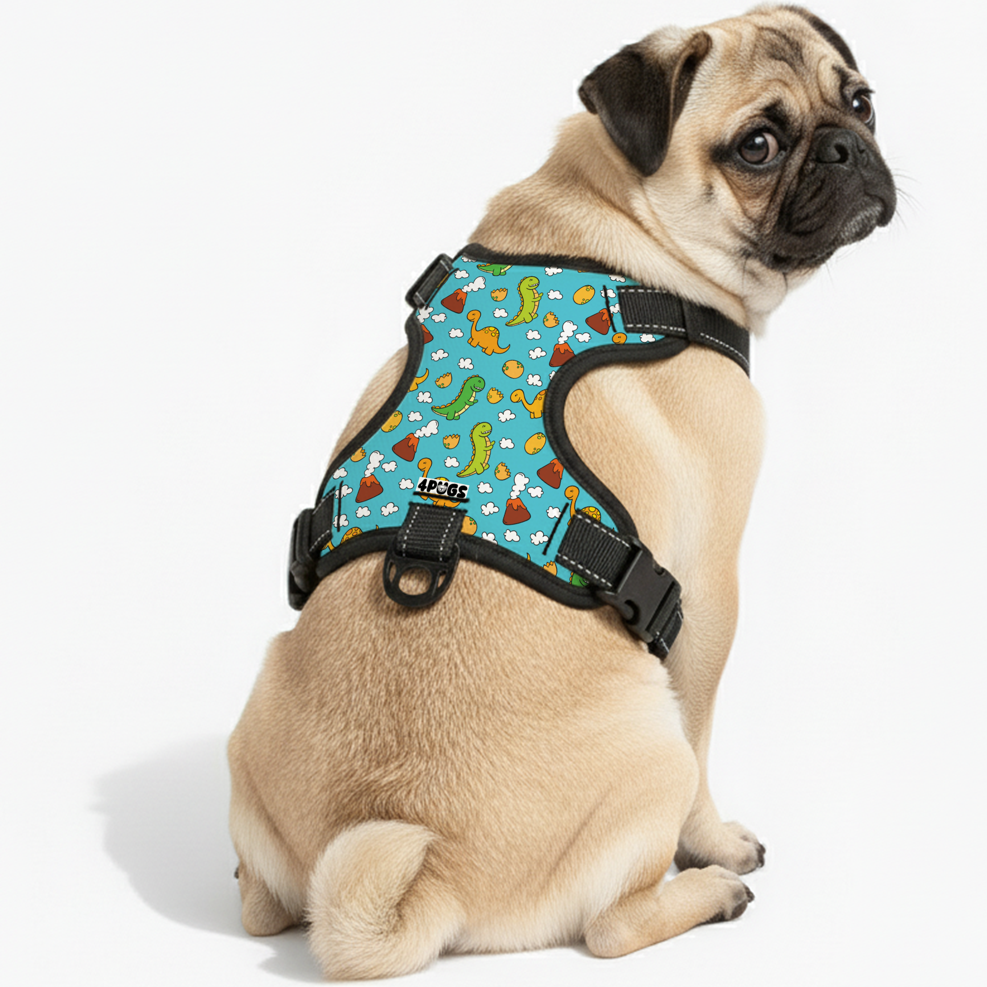 Axel - Pug Dog Harness