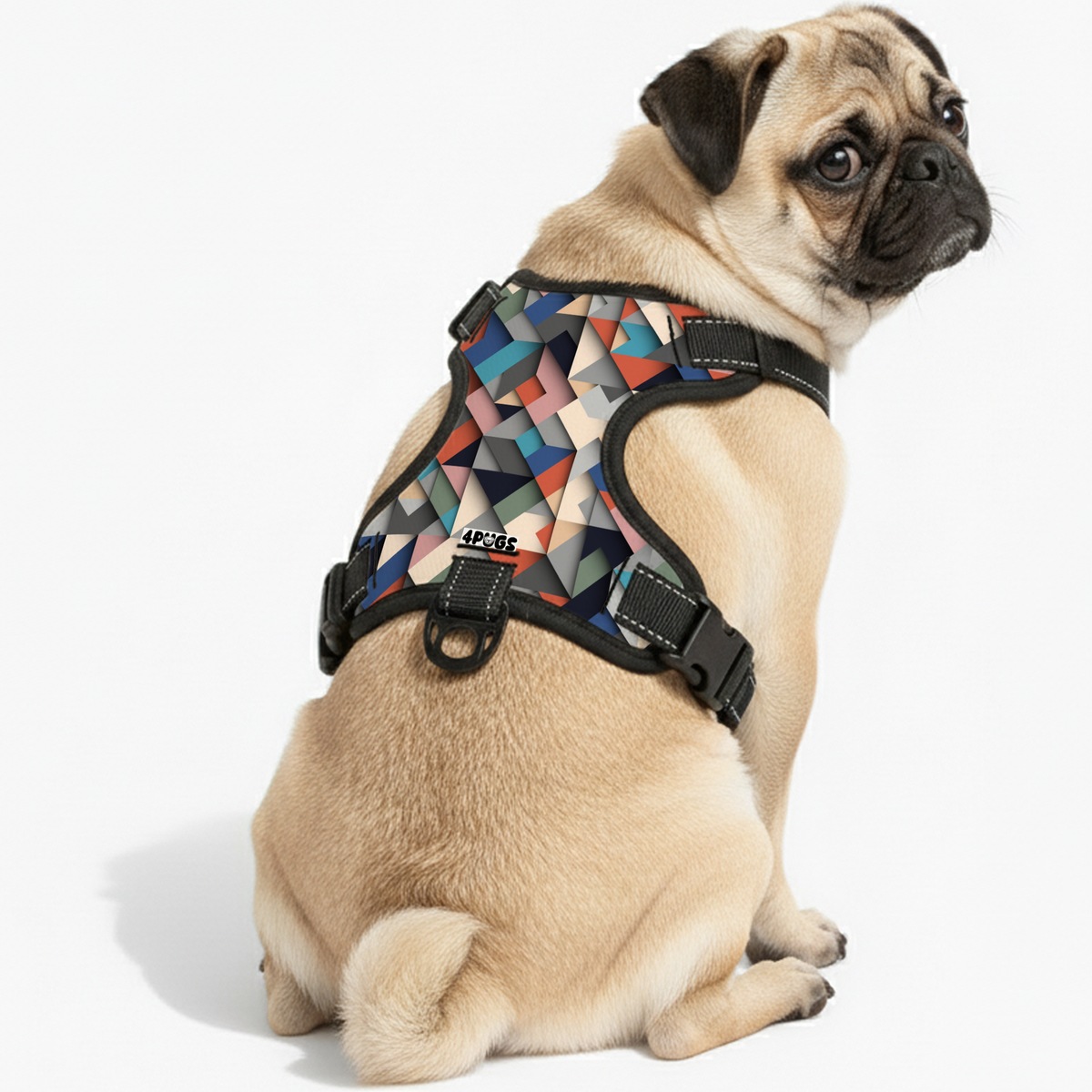 Cleo - Pug Dog Harness