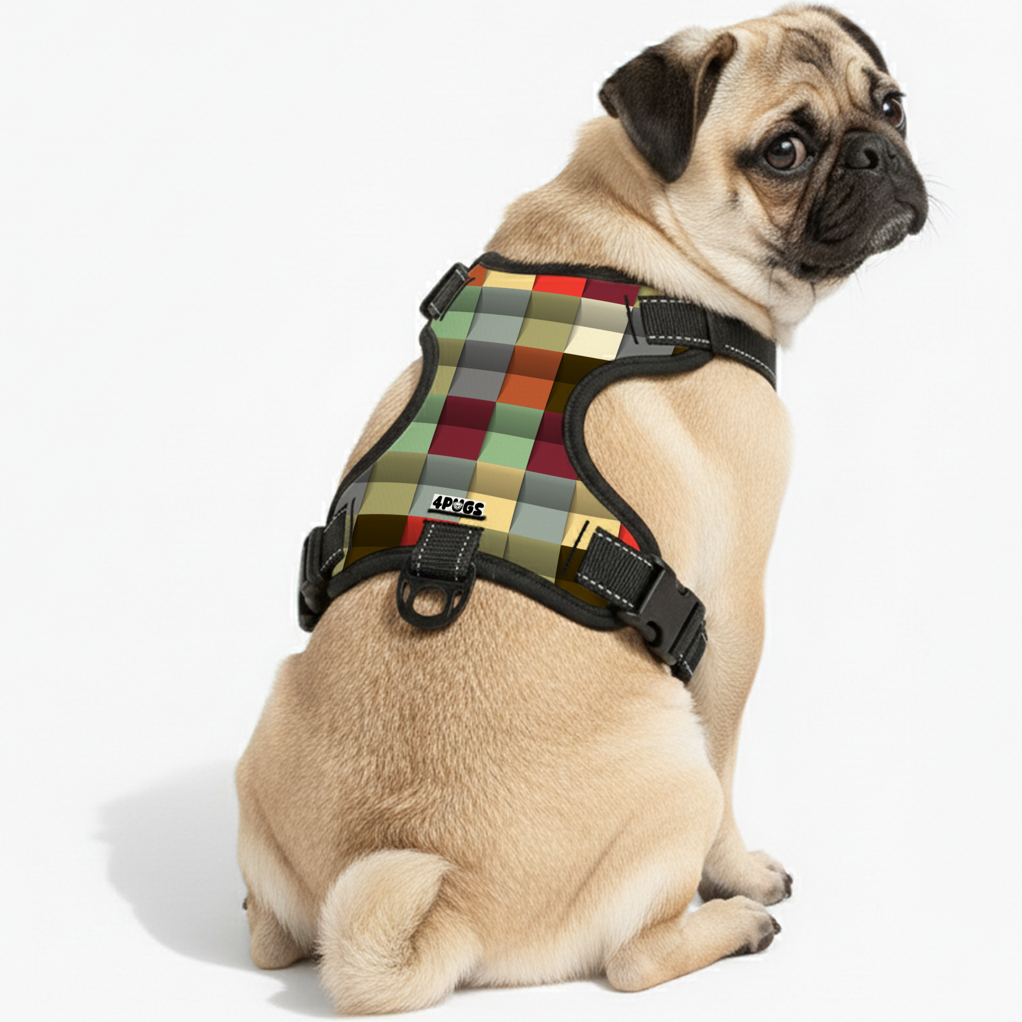 Koda - Pug Dog Harness