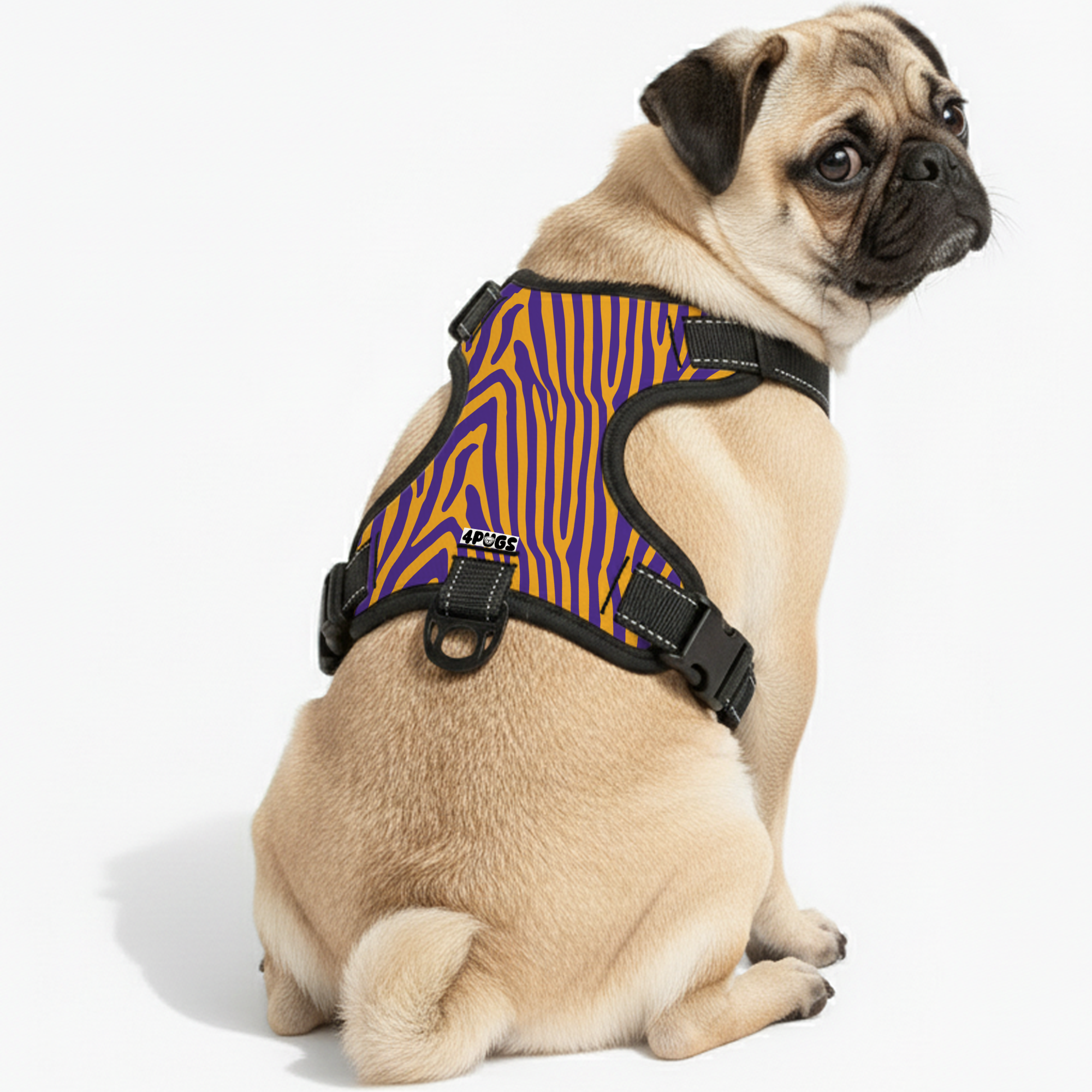 Rocky - Pug Dog Harness