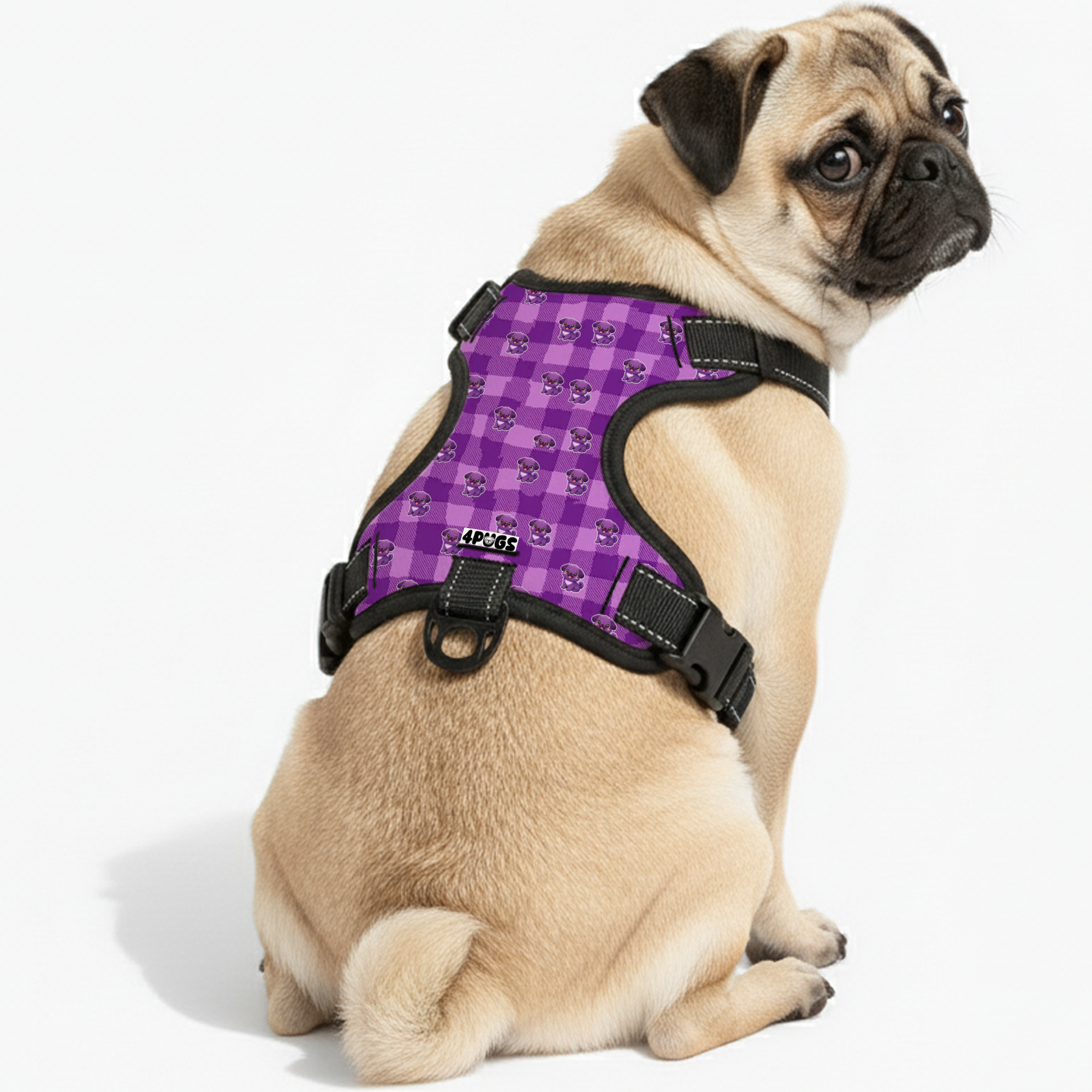 Stella - Pug Dog Harness