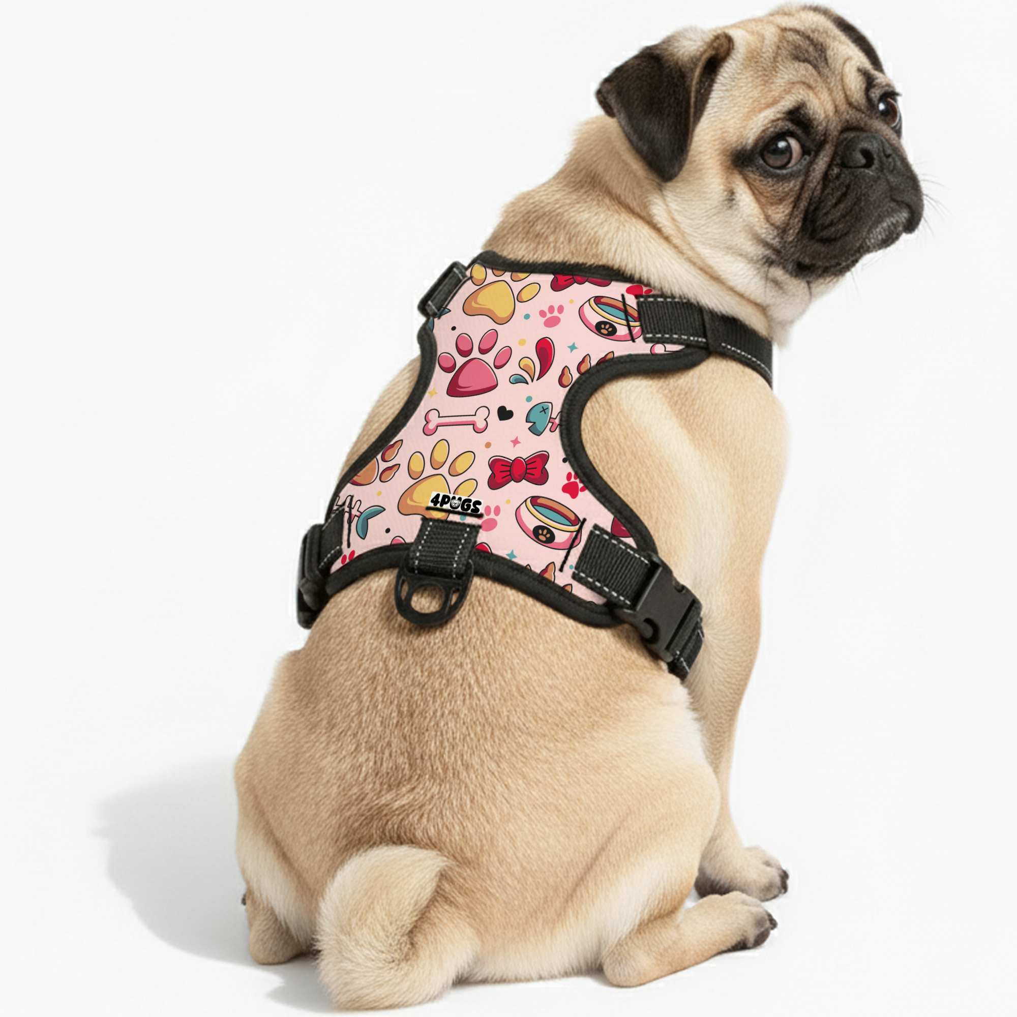 Lucy - Pug Dog Harness