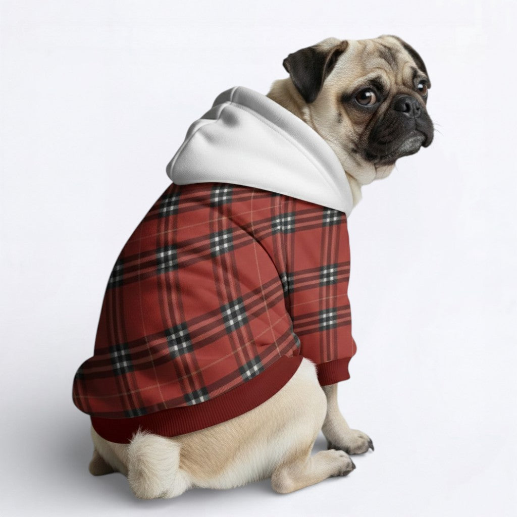 Apollo - Pug Dog Hoodie