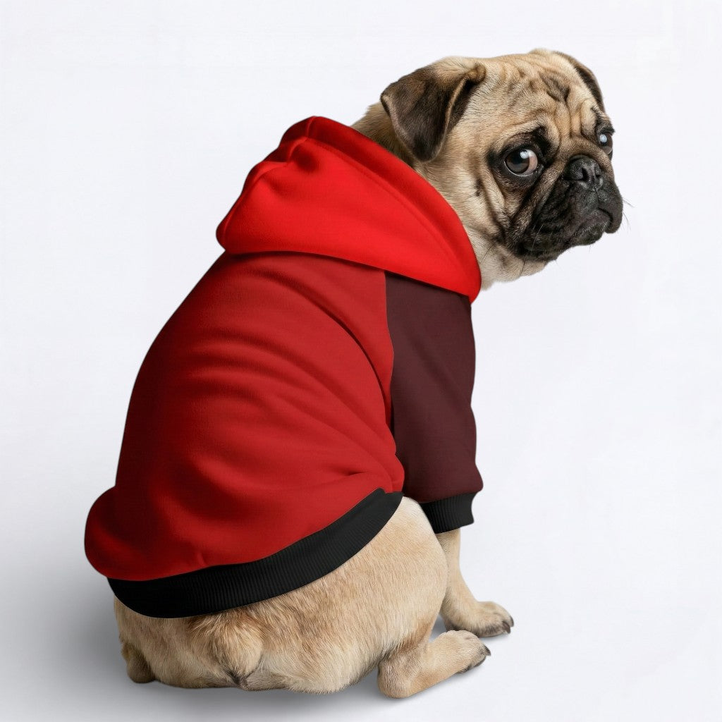 Blaze - Pug Dog Hoodie