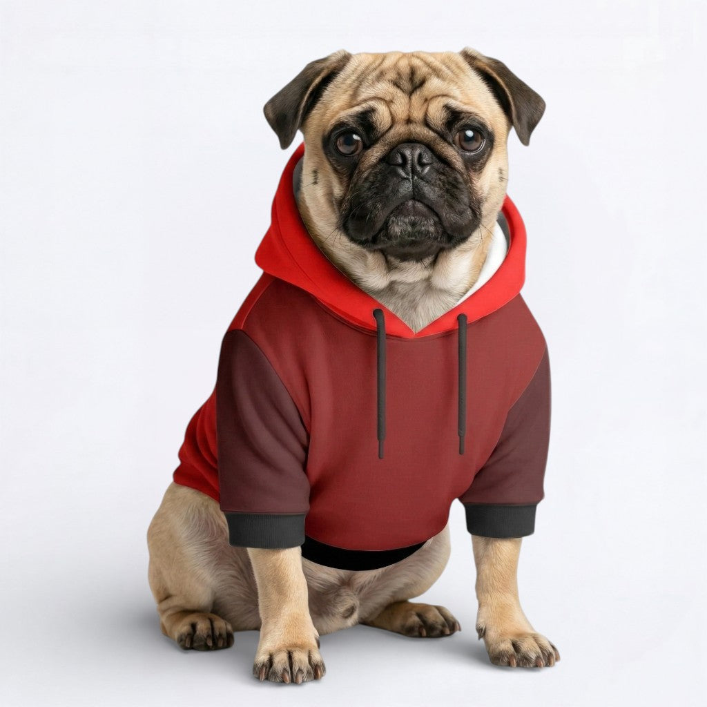 Blaze - Pug Dog Hoodie