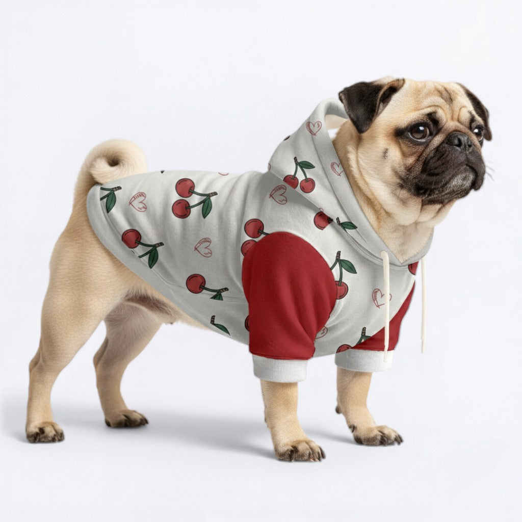 Zara - Pug Dog Hoodie