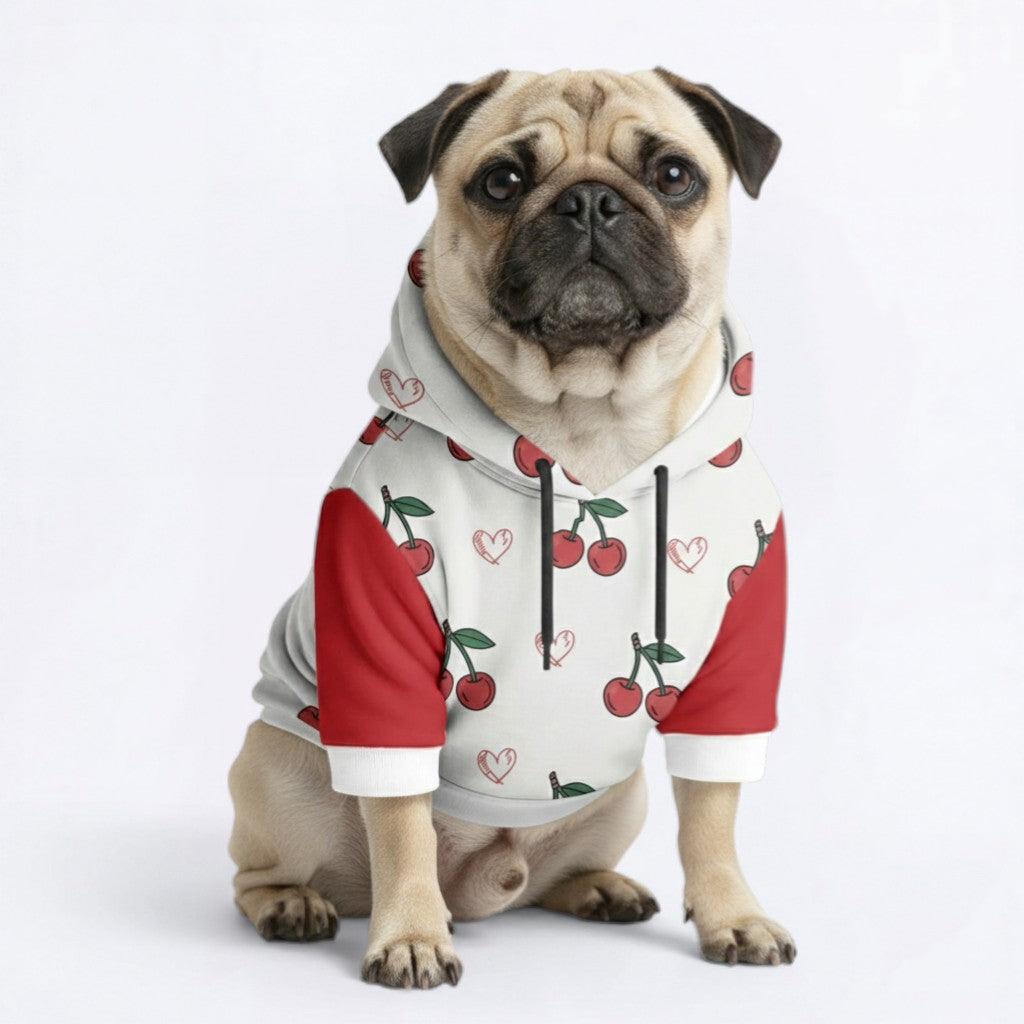 Zara - Pug Dog Hoodie