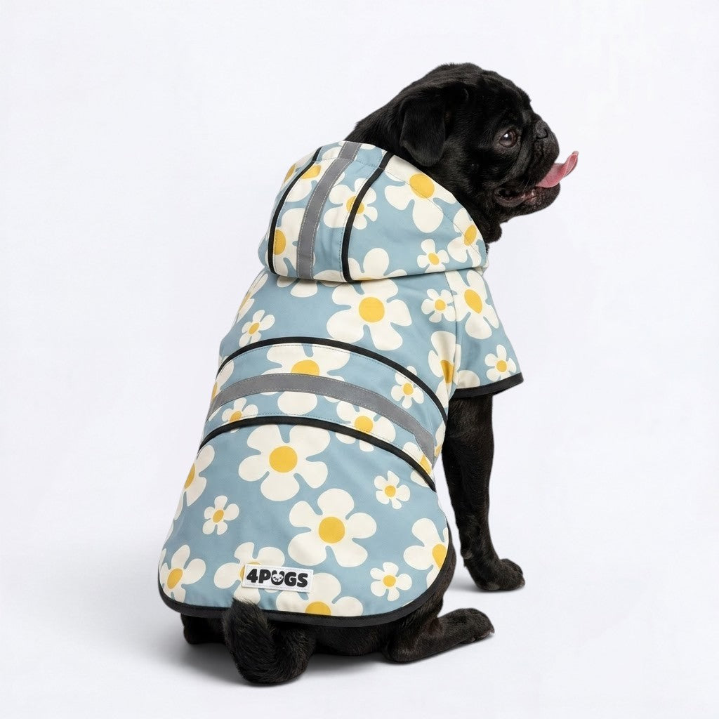 Ember  - Reflective Pug Poncho