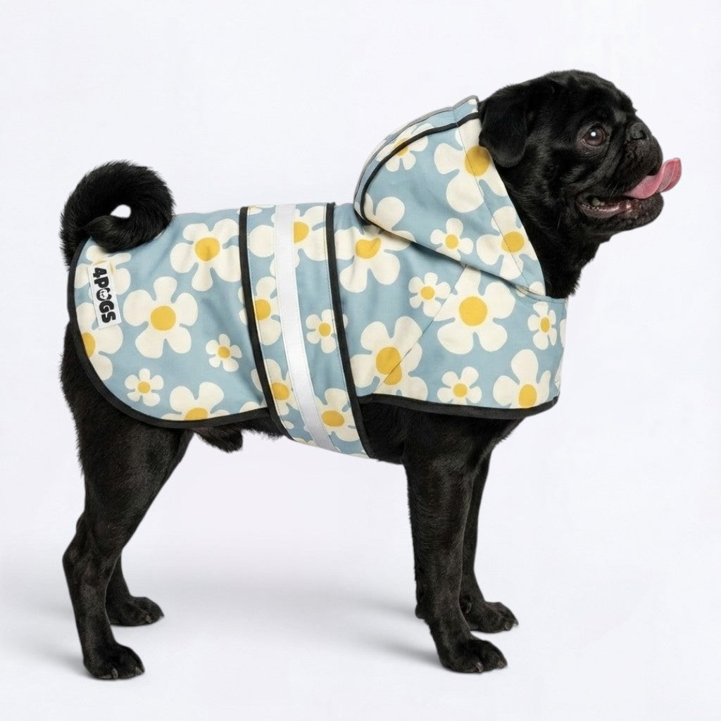 Ember  - Reflective Pug Poncho