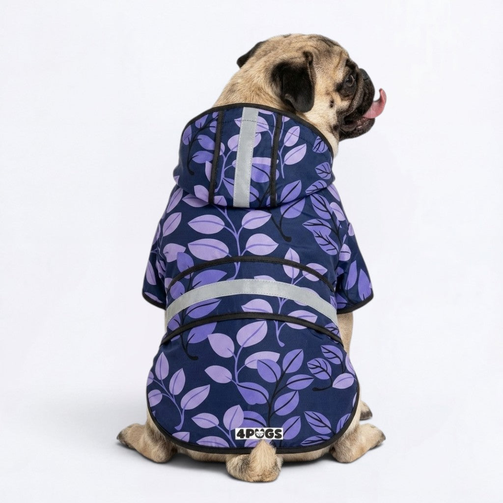 Star - Reflective Pug Poncho