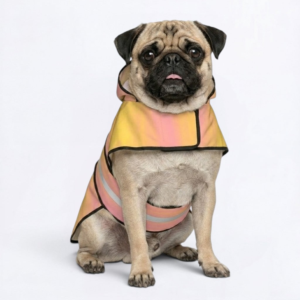 Kobe - Reflective Pug Poncho