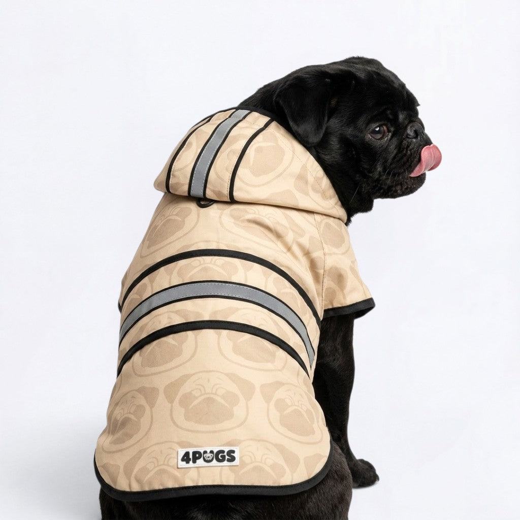 Chase - Reflective Pug Poncho