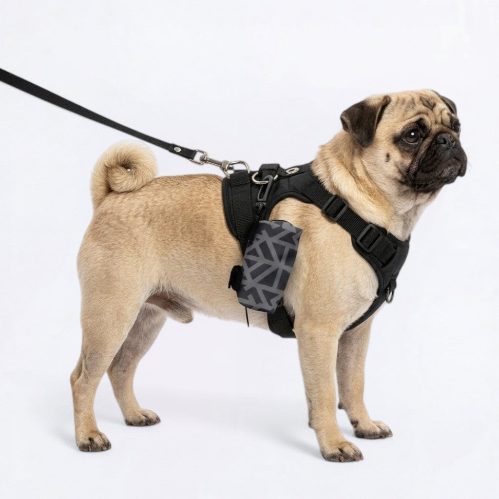 Sunny - Pug Poop Bag Holder