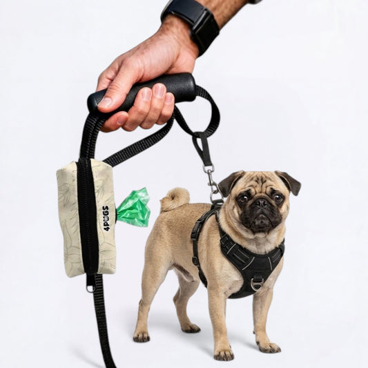 Loofy - Pug Poop Bag Holder