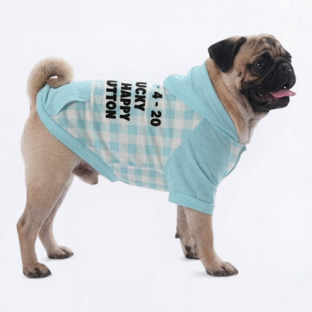 Rocky - Pug Pullover Hoodie