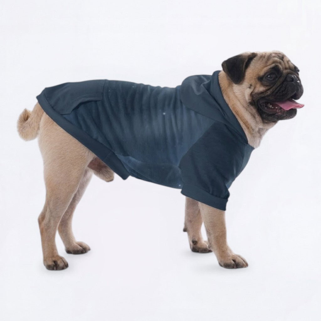 Dash - Pug Pullover Hoodie