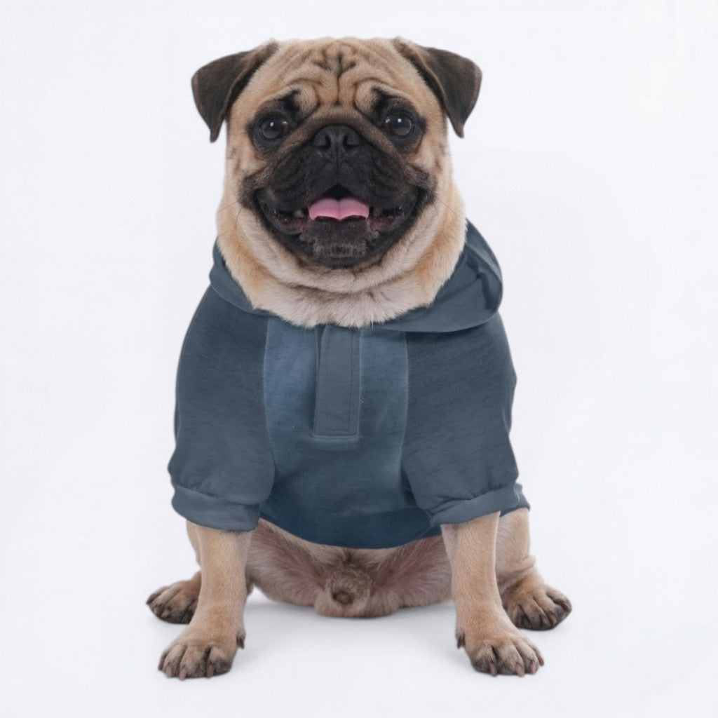 Dash - Pug Pullover Hoodie