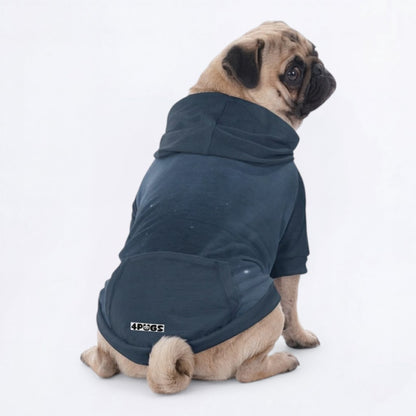 Dash - Pug Pullover Hoodie
