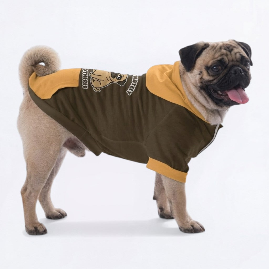 Charlie - Pug Pullover Hoodie