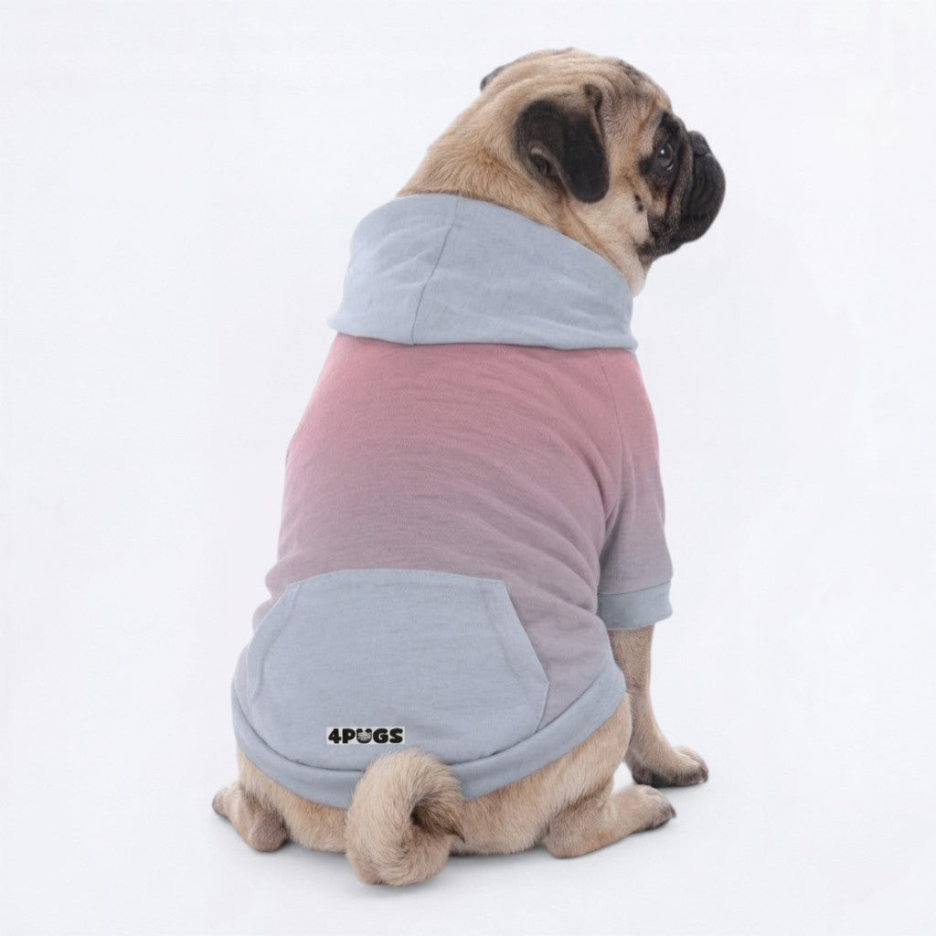 Zuko - Pug Pullover Hoodie