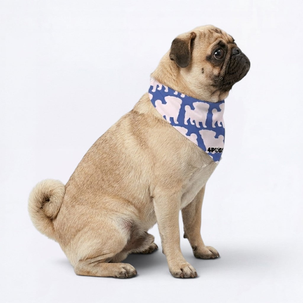 Coco - Pug Bandana