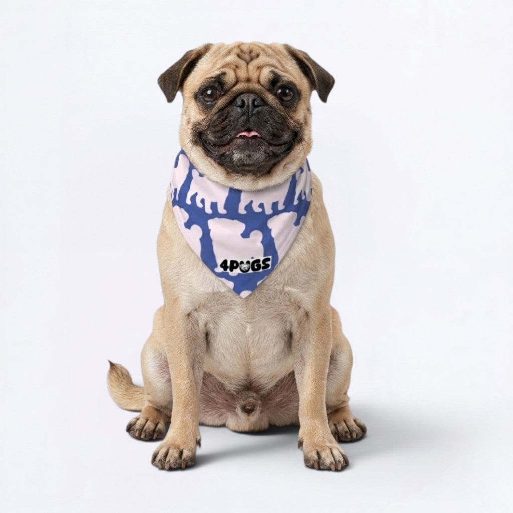 Coco - Pug Bandana