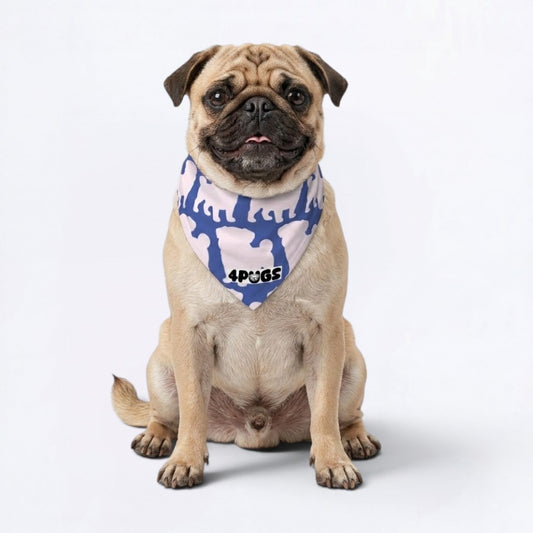 Coco - Pug Bandana