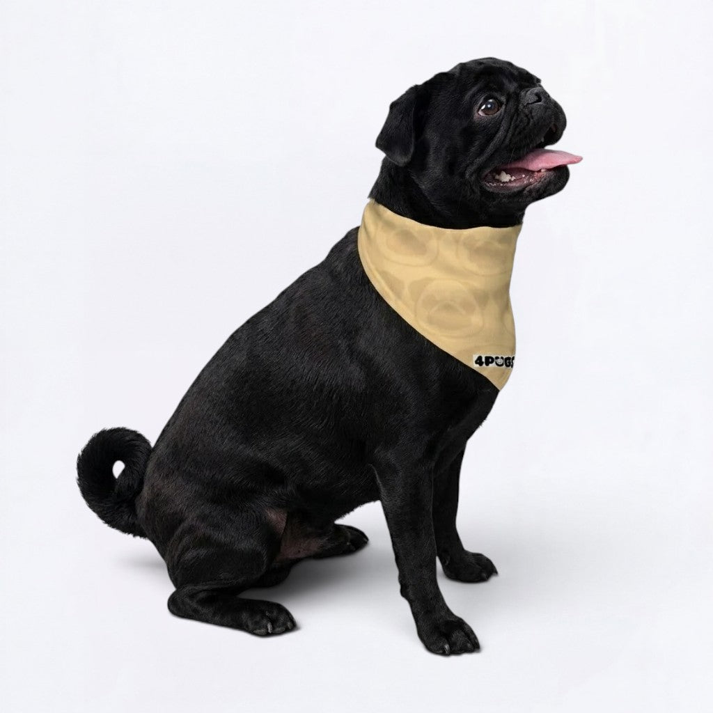Cash - Pug Bandana